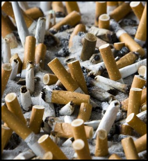  Colillas de Cigarrillos  